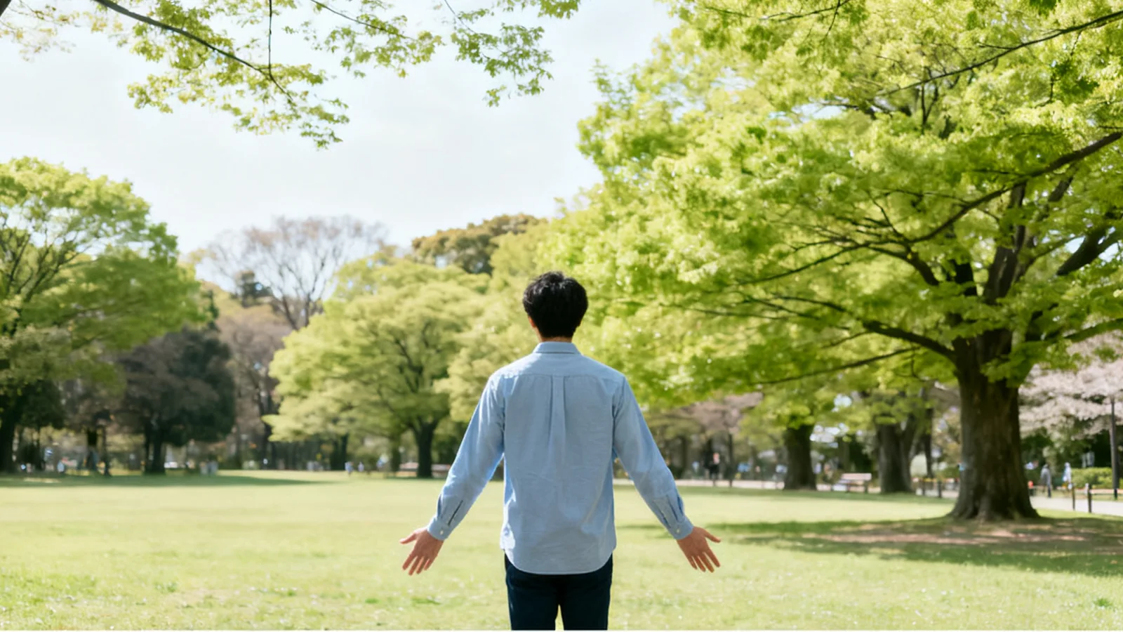 公園の木の下で、手を開いたまま立つ男性の後ろ姿
